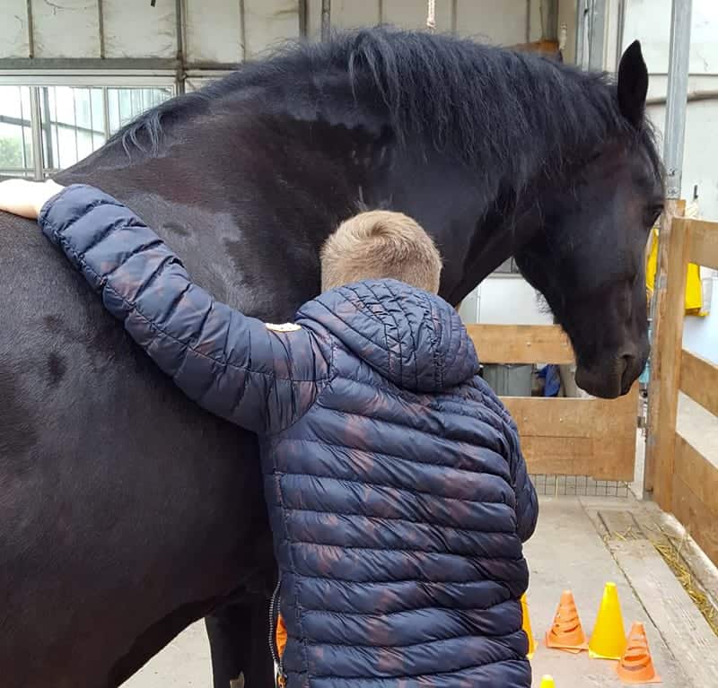 Paardencoaching of Equine Assisted Coaching
